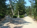 Amanohashidate